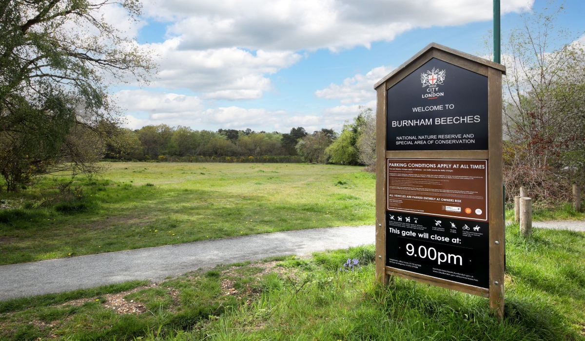 local living-Farnham Common leisure - Bovingdons